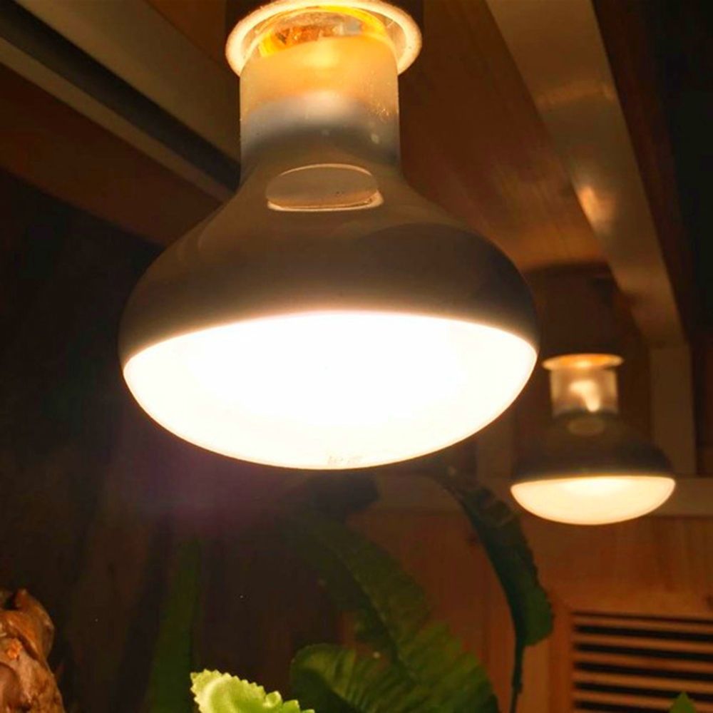 หลอดฮาโลเจนสำหรับสัตว์ครึ่งบกค - Basking Bulb Halogen บทวิจารณ์และราคา