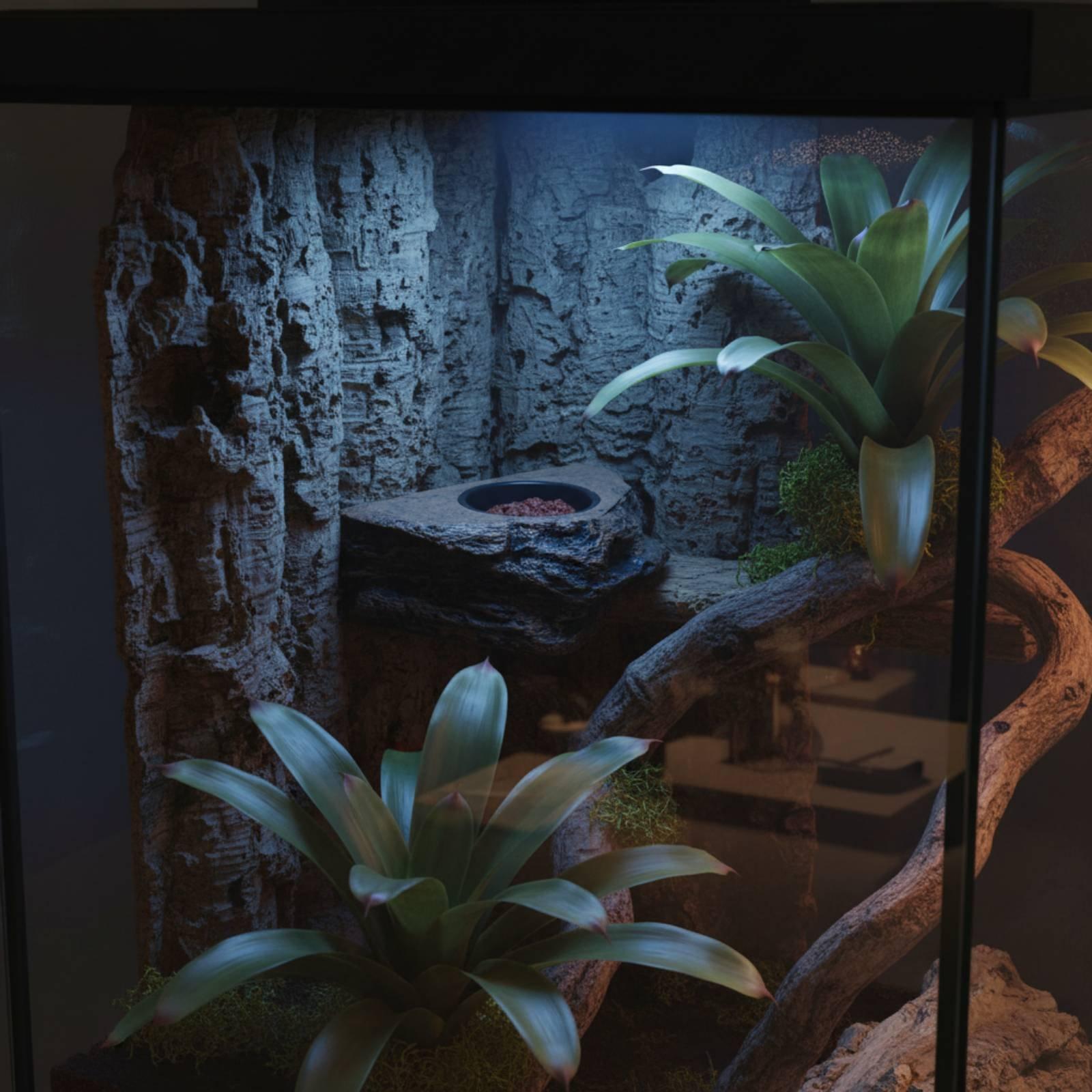 ชั้นวางอาหารและน้ำสำหรับตุ๊กแก - Water Dish Reptile บทวิจารณ์และราคา