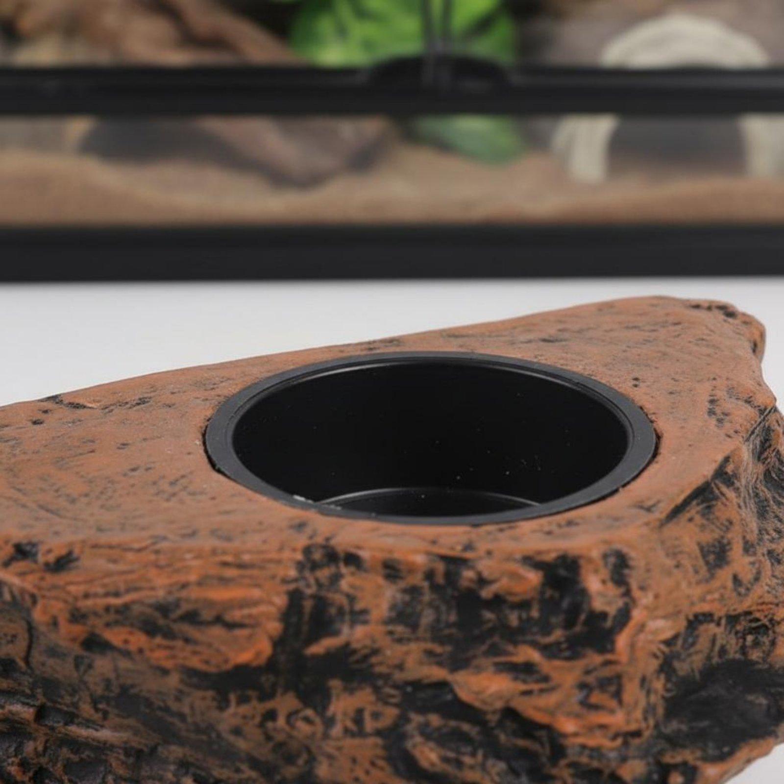 ชั้นวางอาหารและน้ำสำหรับตุ๊กแก - Water Dish Reptile บทวิจารณ์และราคา
