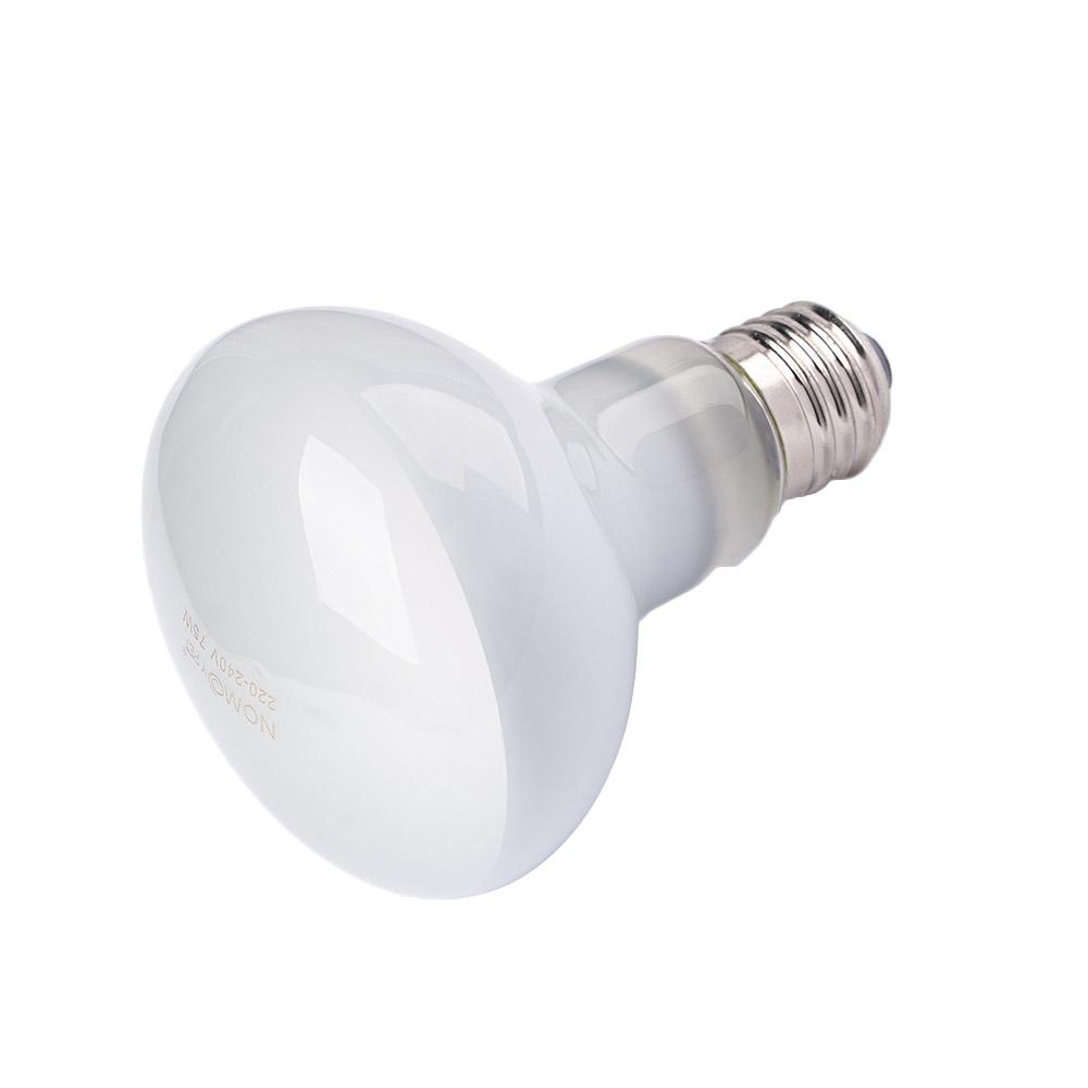 หลอดไฟให้ความร้อนสำหรับเต่า หล - Basking Bulb Halogen บทวิจารณ์และราคา