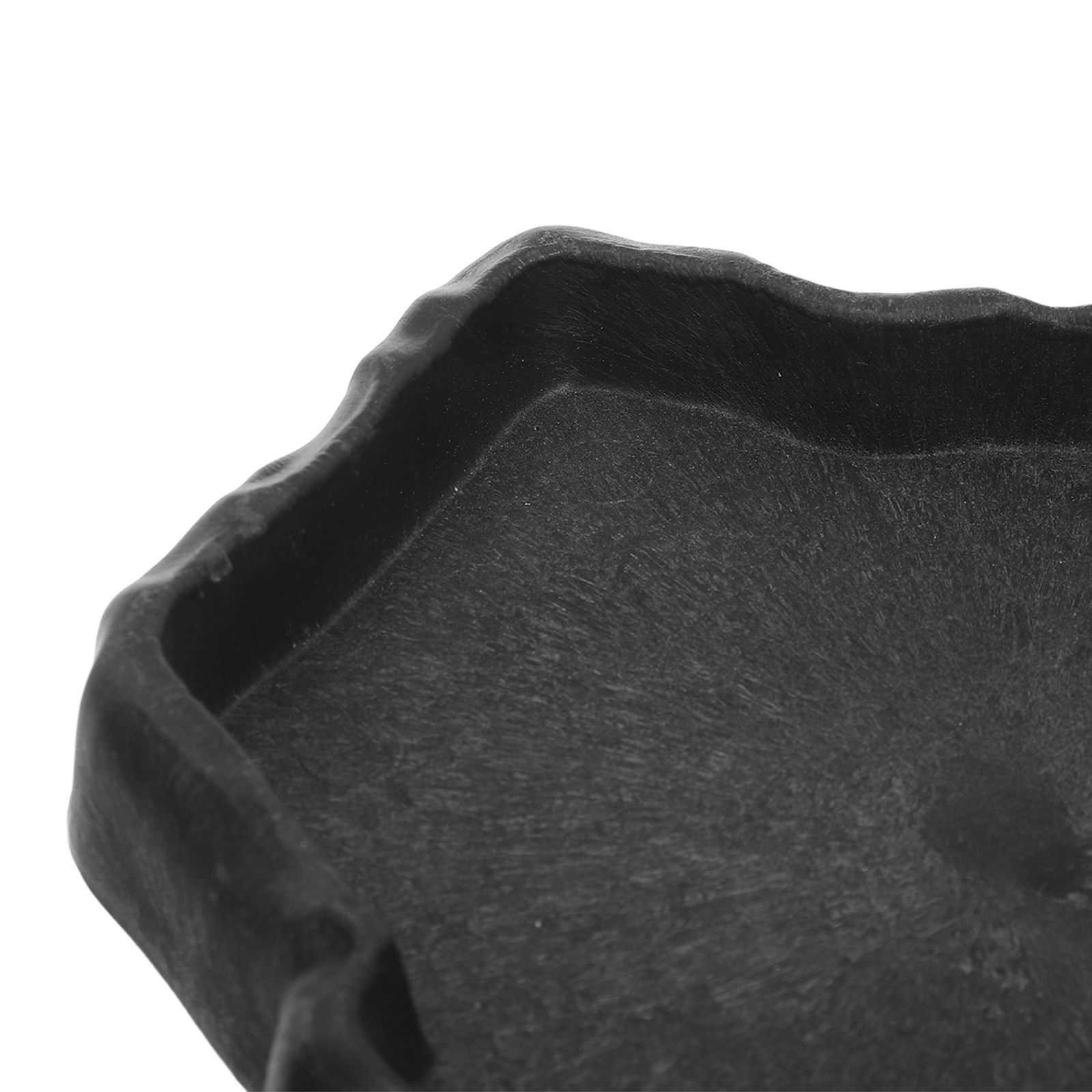 ชามอาหารสำหรับสัตว์เลื้อยคลาน  - Water Dish Reptile บทวิจารณ์และราคา