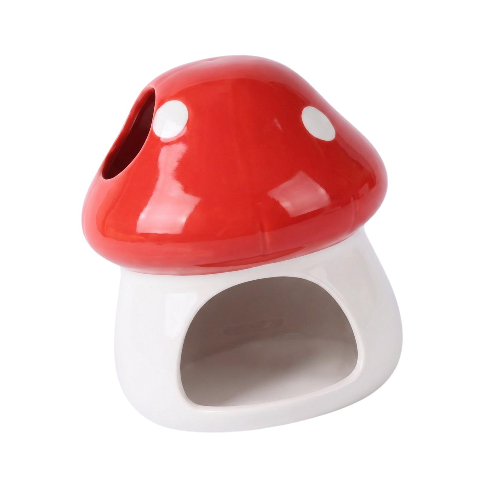บ้านเซรามิกสำหรับแฮมสเตอร์ ถ้ำ - Hide Cave Ceramic บทวิจารณ์และราคา