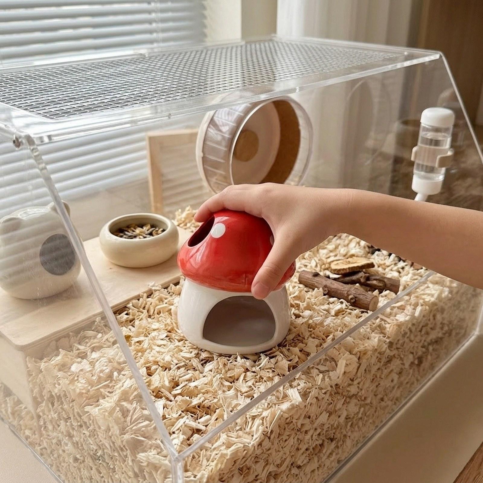บ้านเซรามิกสำหรับแฮมสเตอร์ ถ้ำ - Hide Cave Ceramic บทวิจารณ์และราคา